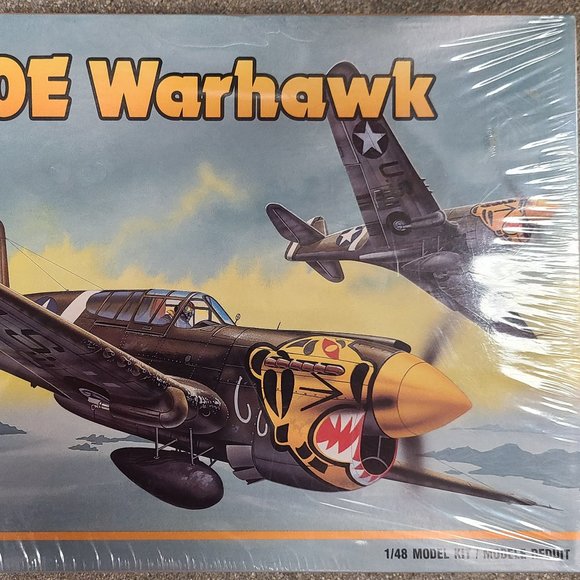 WWII - AMT - Curtiss P-40E Warhawk -  Model Airplane - Picture 3 of 4